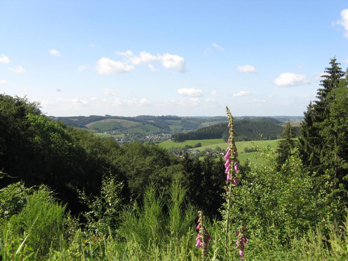 Urlaub Im Naturgarten Lejlighed Bergneustadt Eksteriør billede