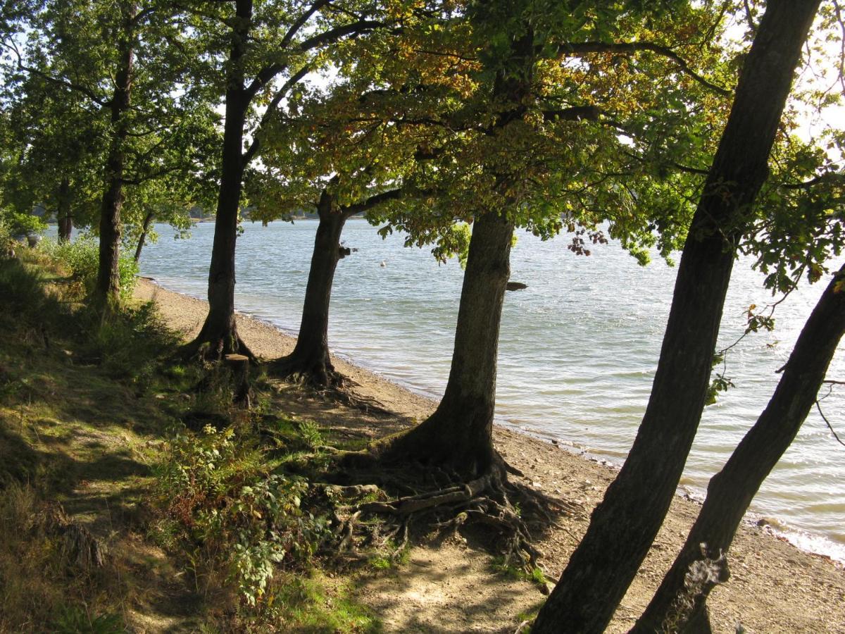 Urlaub Im Naturgarten Lejlighed Bergneustadt Eksteriør billede