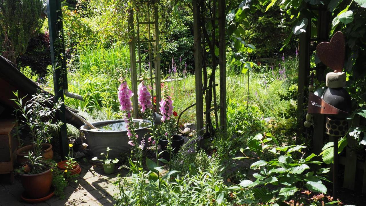 Urlaub Im Naturgarten Bergneustadt Eksteriør billede