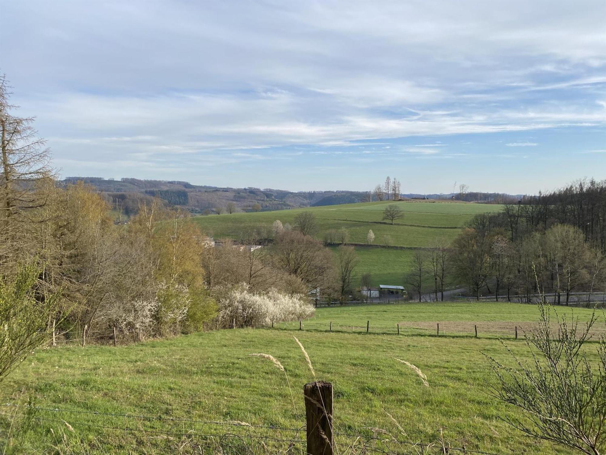 Urlaub Im Naturgarten Bergneustadt Eksteriør billede